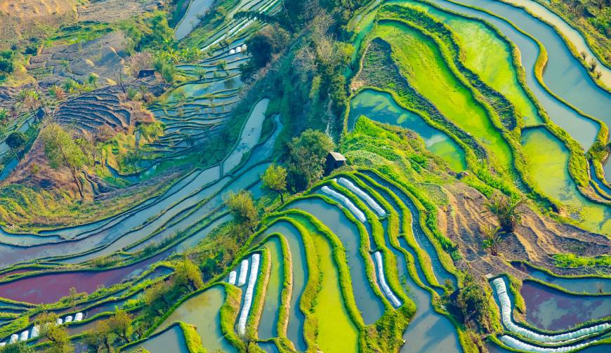 宝妈必备神器：鄂温克族自治旗产品视频拍摄轻松育儿好帮手